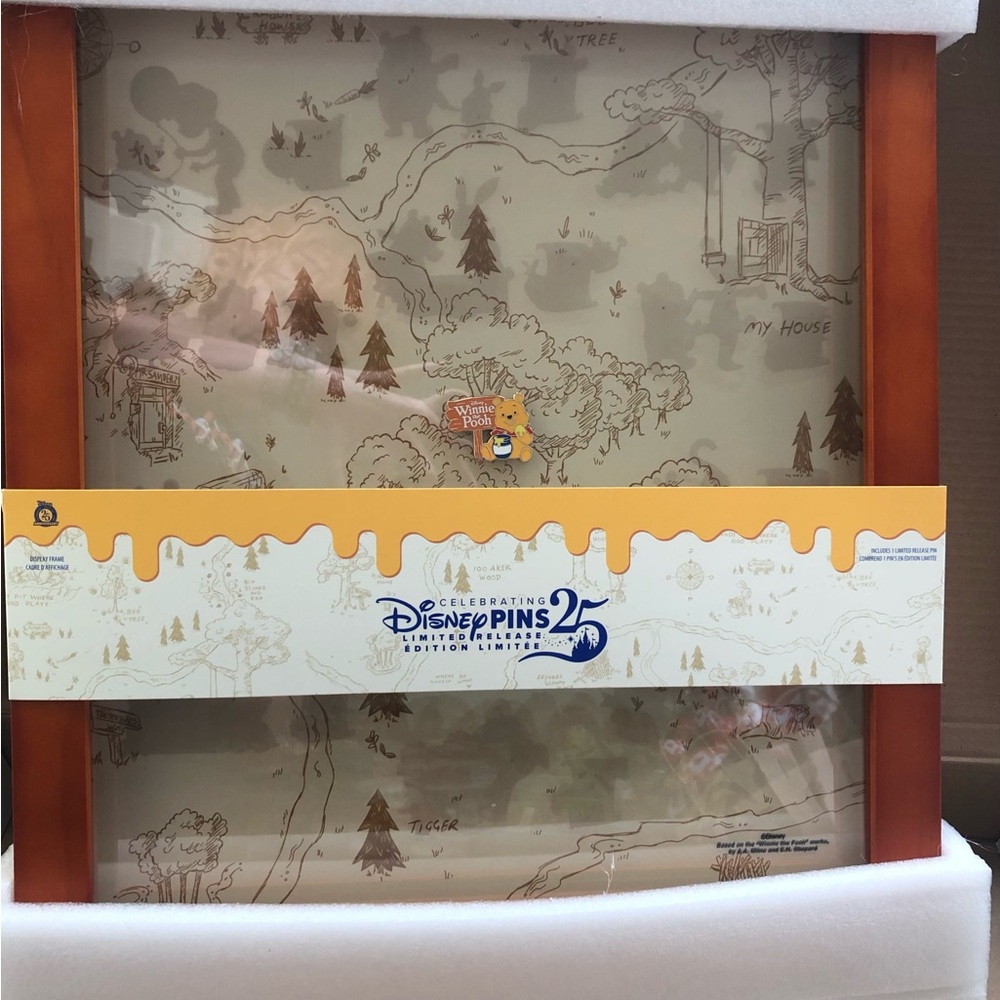 Disney Winnie the Pooh Framed Display Case Monthly Pin 25th Celebration